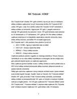 Prakses atskaite 'Prakses atskaite SIA "Daiļrade koks"', 3.