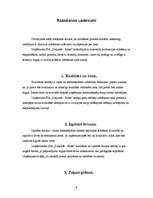 Prakses atskaite 'Prakses atskaite SIA "Daiļrade koks"', 9.