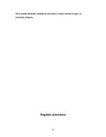 Prakses atskaite 'Prakses atskaite SIA "Daiļrade koks"', 18.