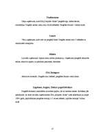 Prakses atskaite 'Prakses atskaite SIA "Daiļrade koks"', 25.