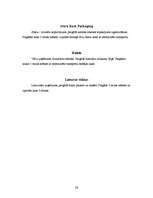 Prakses atskaite 'Prakses atskaite SIA "Daiļrade koks"', 26.