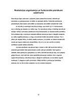 Prakses atskaite 'Prakses atskaite SIA "Daiļrade koks"', 29.