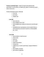 Prakses atskaite 'Prakses atskaite SIA "Daiļrade koks"', 31.