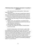 Prakses atskaite 'Prakses atskaite SIA "Daiļrade koks"', 34.