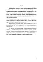 Referāts 'Biznesa stratēģiskā plānošana', 3.