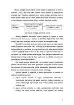 Referāts 'Biznesa stratēģiskā plānošana', 5.