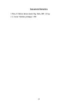 Prakses atskaite 'Aktīvā mācību un audzināšanas prakse pirmsskolā I', 19.