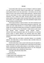 Referāts 'Pašvaldību budžets', 3.