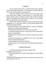 Referāts 'Pašvaldību budžets', 10.