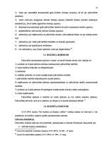 Referāts 'Pašvaldību budžets', 14.