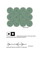 Konspekts 'Uztveres ilūzija', 5.