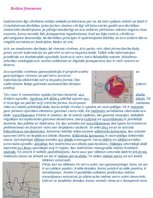 Referāts 'Krāsu teorija', 5.