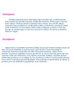 Referāts 'Krāsu teorija', 9.