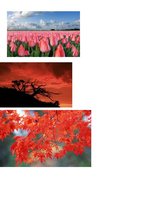 Referāts 'Krāsu teorija', 11.