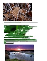 Referāts 'Krāsu teorija', 12.