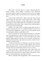 Diplomdarbs 'Marijas Montesori valodas materiāla izmantošana pirmsskolas vecuma bērnu valodas', 7.