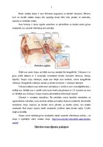 Referāts 'Dzirdes traucējumi', 7.