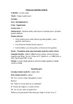 Konspekts 'Pirmsskolas izglītības iestādes nodarbības konspekts "Sniegavīra piedzīvojumi"', 1.