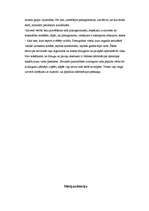 Referāts 'Uzņēmuma mārketinga stratēģija', 3.