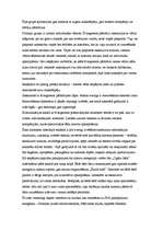 Referāts 'Uzņēmuma mārketinga stratēģija', 12.