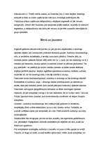 Referāts 'Uzņēmuma mārketinga stratēģija', 13.