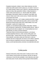 Referāts 'Uzņēmuma mārketinga stratēģija', 15.