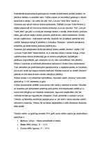 Referāts 'Uzņēmuma mārketinga stratēģija', 17.