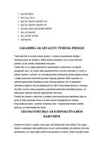 Referāts 'Uzņēmuma mārketinga stratēģija', 22.