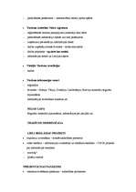 Referāts 'Uzņēmuma mārketinga stratēģija', 25.