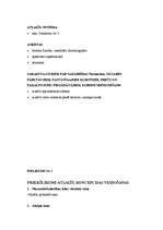 Referāts 'Uzņēmuma mārketinga stratēģija', 26.