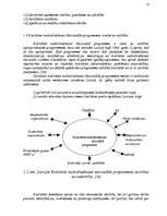 Referāts 'Kvalitātes loma uzņēmējdarbībā', 13.