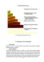 Diplomdarbs 'Māsu zināšanas par medicīnas ētiku', 26.