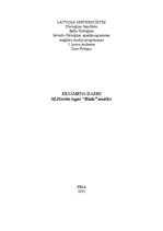 Eseja 'Mārtiņa Zīverta lugas "Rūda" analīze', 6.