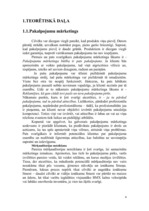 Referāts 'Pakalpojumu organizēšana uzņēmumā', 4.