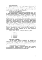 Referāts 'Pakalpojumu organizēšana uzņēmumā', 5.