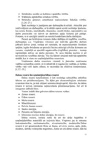 Referāts 'Pakalpojumu organizēšana uzņēmumā', 11.