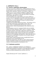 Referāts 'Pakalpojumu organizēšana uzņēmumā', 19.