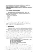 Referāts 'Pakalpojumu organizēšana uzņēmumā', 23.