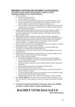 Referāts 'Pakalpojumu organizēšana uzņēmumā', 42.