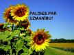 Prezentācija 'Pētījums par pakalpojumu sniegšanas kvalitāti viesnīcās vai citās tūristu mītnēs', 12.
