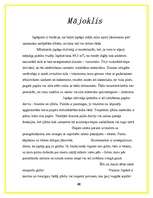 Referāts 'Japāņu sadzīve', 4.