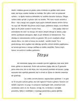 Referāts 'Japāņu sadzīve', 5.