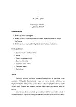 Paraugs 'Gaismas ātrums', 1.