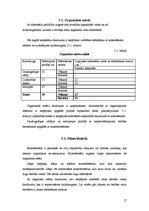 Referāts 'Modeļsaimniecība "Ezerīši"', 19.