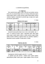 Referāts 'Modeļsaimniecība "Ezerīši"', 22.