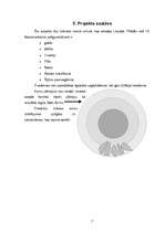 Konspekts 'Dizaina metodika', 7.