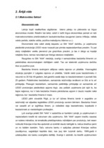 Referāts 'Uzņēmuma mārketinga vides novērtējums', 8.