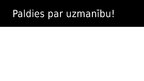 Prezentācija 'Prezentācija par jaunlatviešiem', 13.