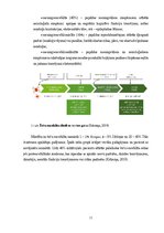 Referāts 'Vecāku rīcība pie ērces piesūkšanās bērniem', 11.