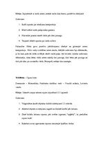 Prakses atskaite 'Kvalifikācijas prakse pirmsskolā', 4.